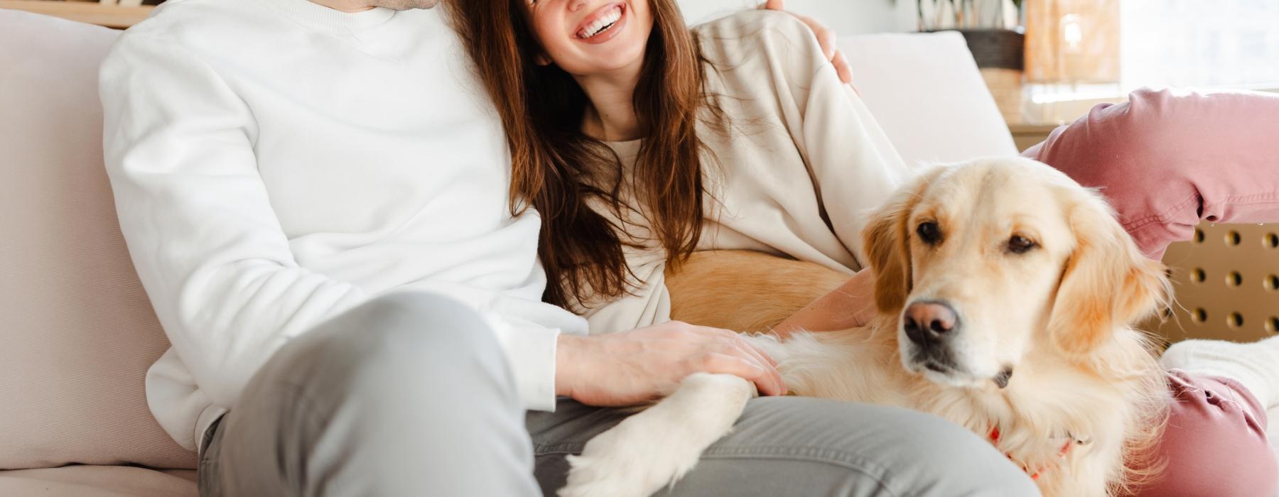 a person lying on a couch with a dog